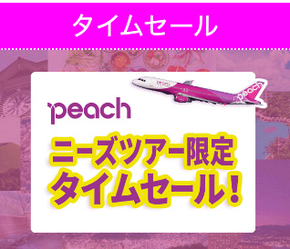1格安国内旅行・国内ツアーのニーズツアー-05-02-2025_02_38_PM