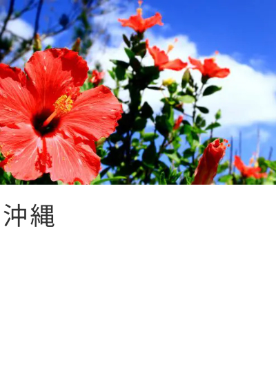 3国内ダイナミックパッケージ国内航空券＋ホテルのお得なセット割！-–-TRAVEL-WEST-05-16-2025_04_05_PM