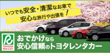 3格安レンタカー料金比較・予約（乗り捨て可）｜スカイチケットレンタカー-05-17-2025_09_52_AM